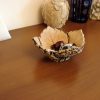 Handmade Pottery Vase, Ceramic Bowl, Candy vase, Key tray, soap dish