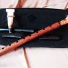 Armenian Professional Duduk Apricot Wood in Hard Case, Musical Instrument Doudouk, Key A, B, C, D, F, G, H
