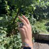 Large Ring Sterling Silver 925 with Druzy Rainbow Carborundum