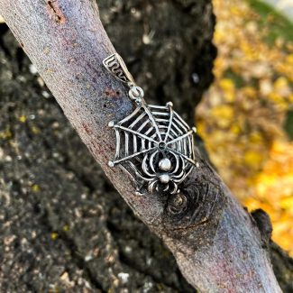 Silver Spider Web Pendant